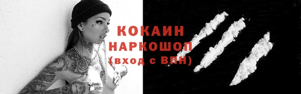 соль ск Богородицк