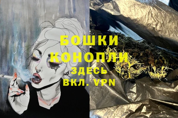 гидропоника Белокуриха